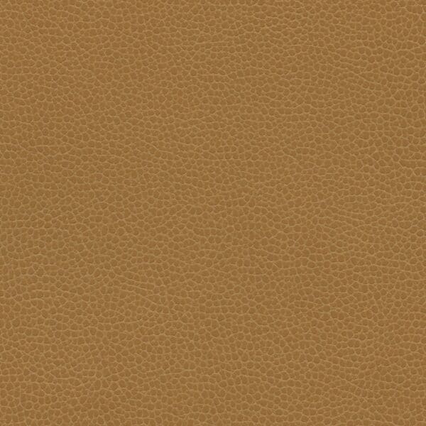 promessa camel, Promessas, ultraleather, ultrafabrics, sustainable, vegan, animal free, textile, fabric, aviation, vip, corporate jet, business jet, private jet, vertical surfaces